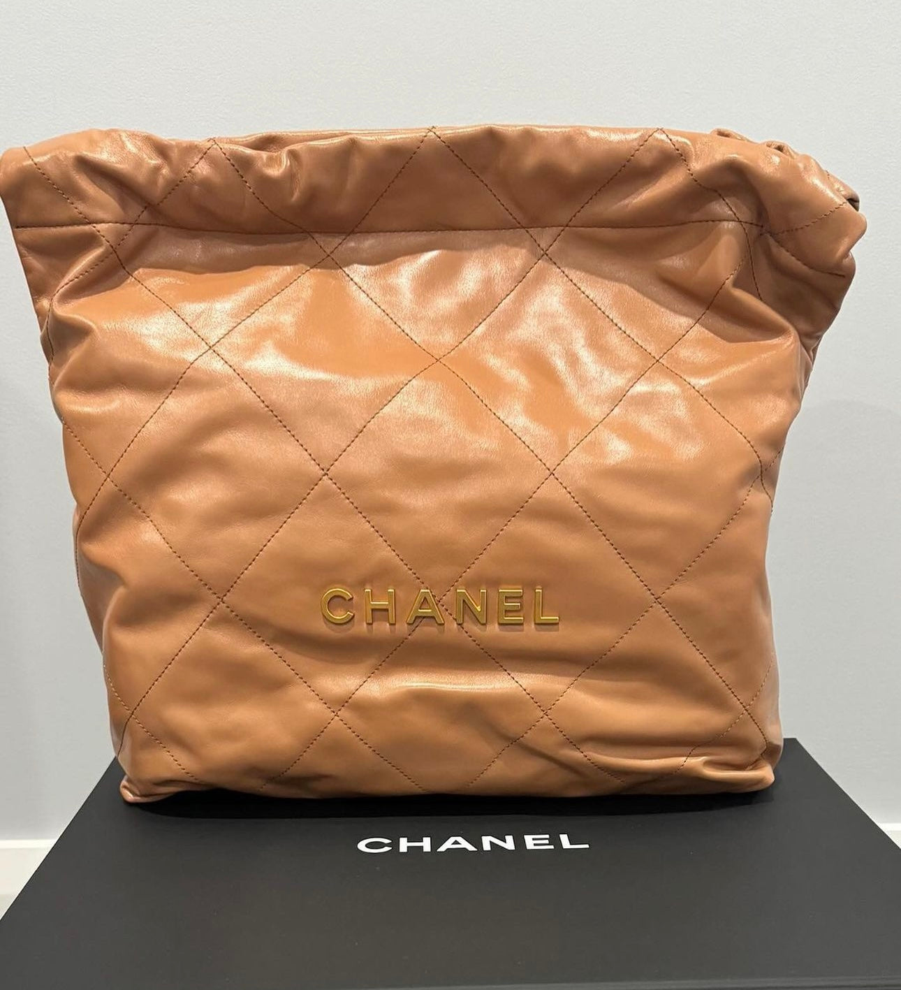CHANEL 22 in Tan (Medium) image 0