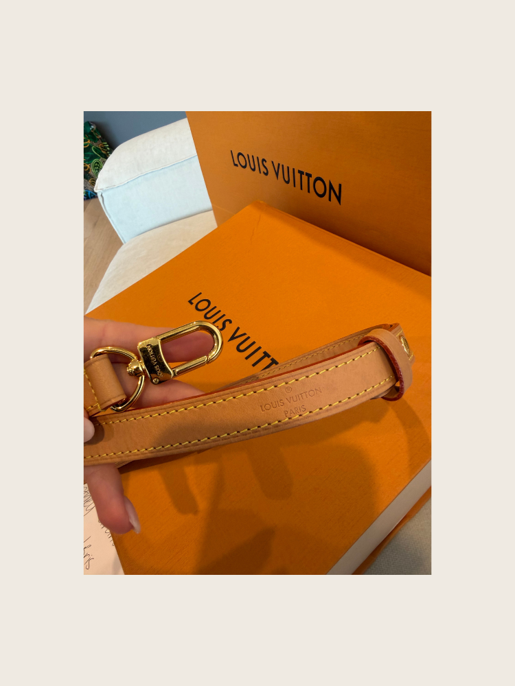 Good Condition - LV Loop Bag