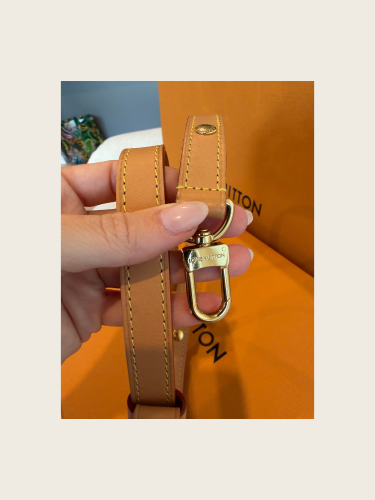 Good Condition - LV Loop Bag